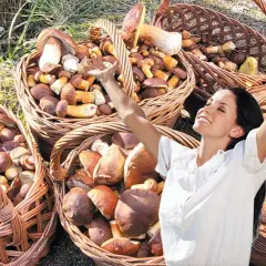 Grzybobranie z noclegiem: najlepsze miejsca i porady w Polsce