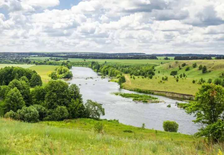 Podlasie: Odkryj dziką przyrodę i kultury. Twój przewodnik.